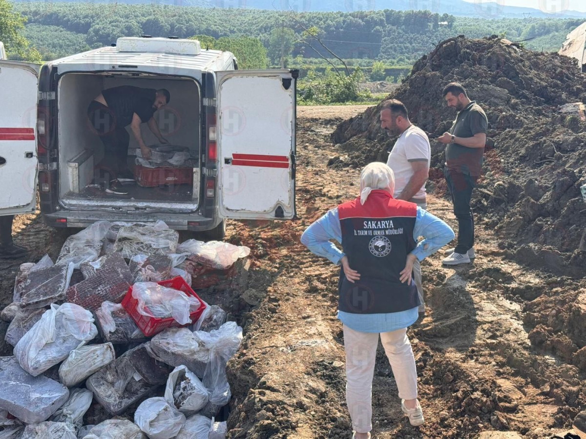 Akyazı gişelerinde 900 kilo dana ciğeri ele geçirildi