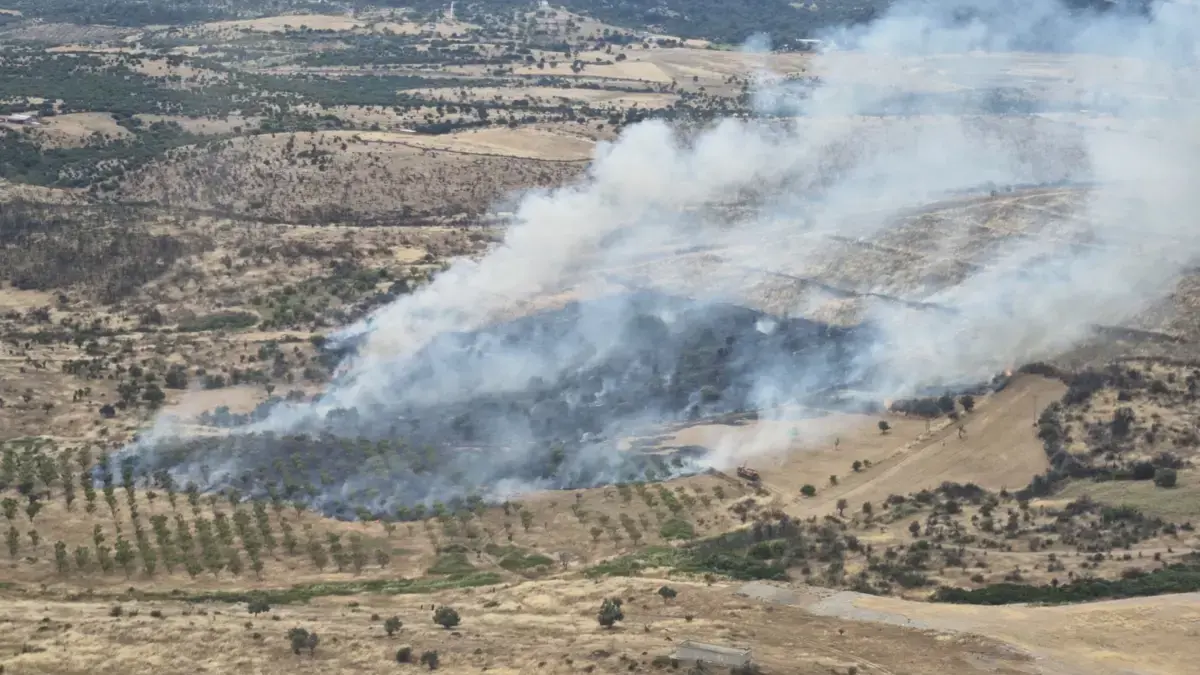 Çanakkale'de orman yangını: Havadan ve karadan müdahale sürüyor