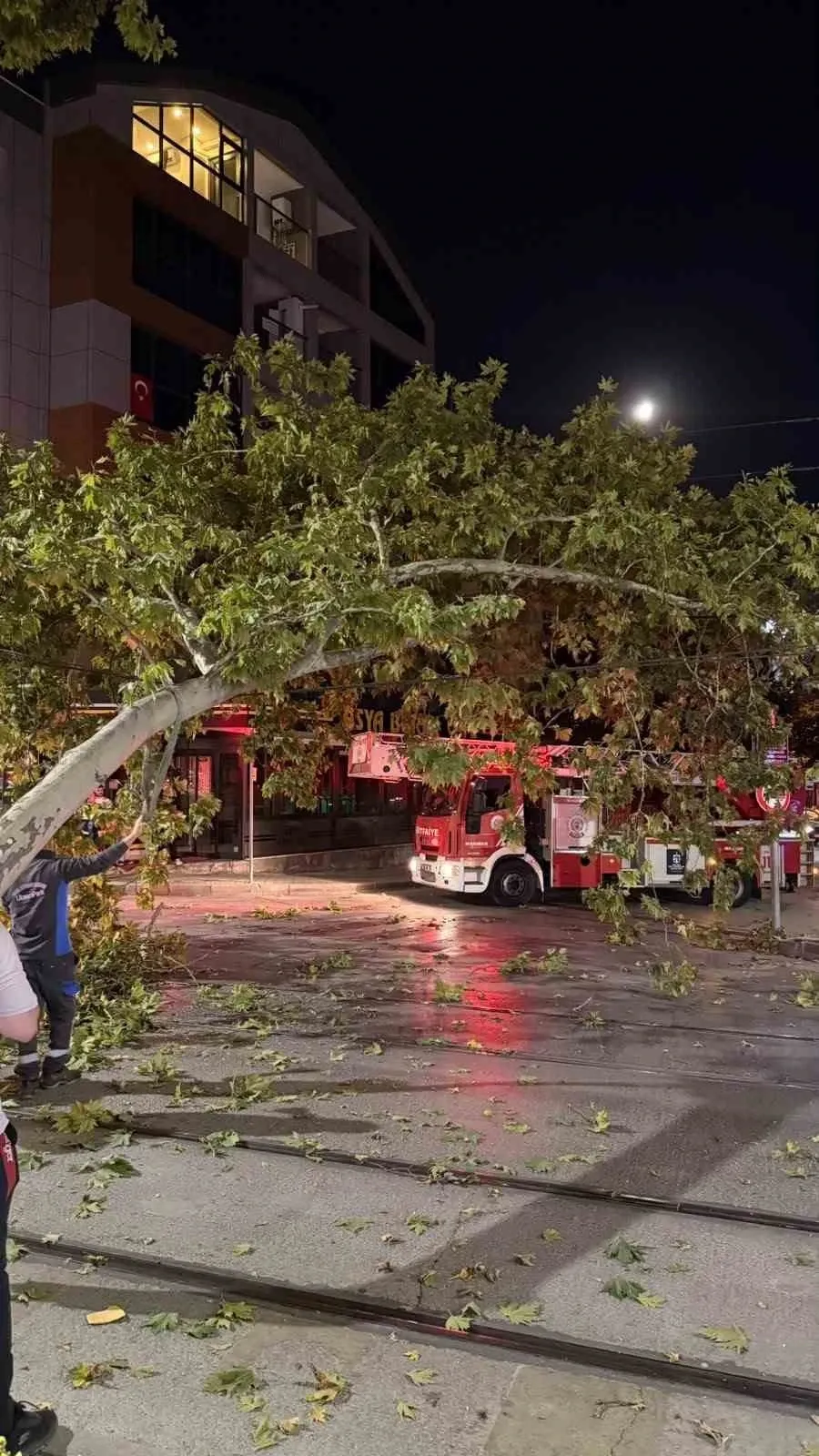 Kocaeli’de kopan ağaç dalı tramvay hattını vurdu: Seferler aksadı