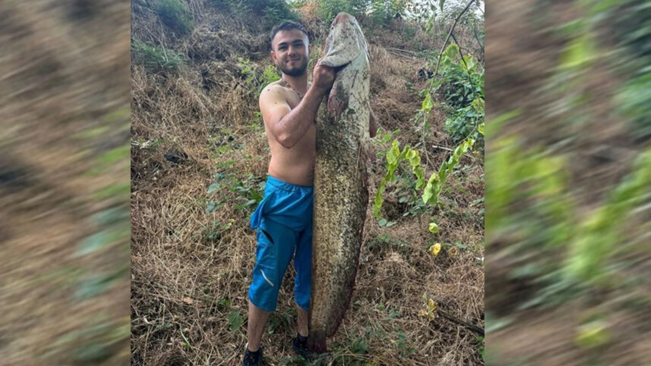 Sakarya Nehri'nde 40 kiloluk dev yayın balığı yakalandı