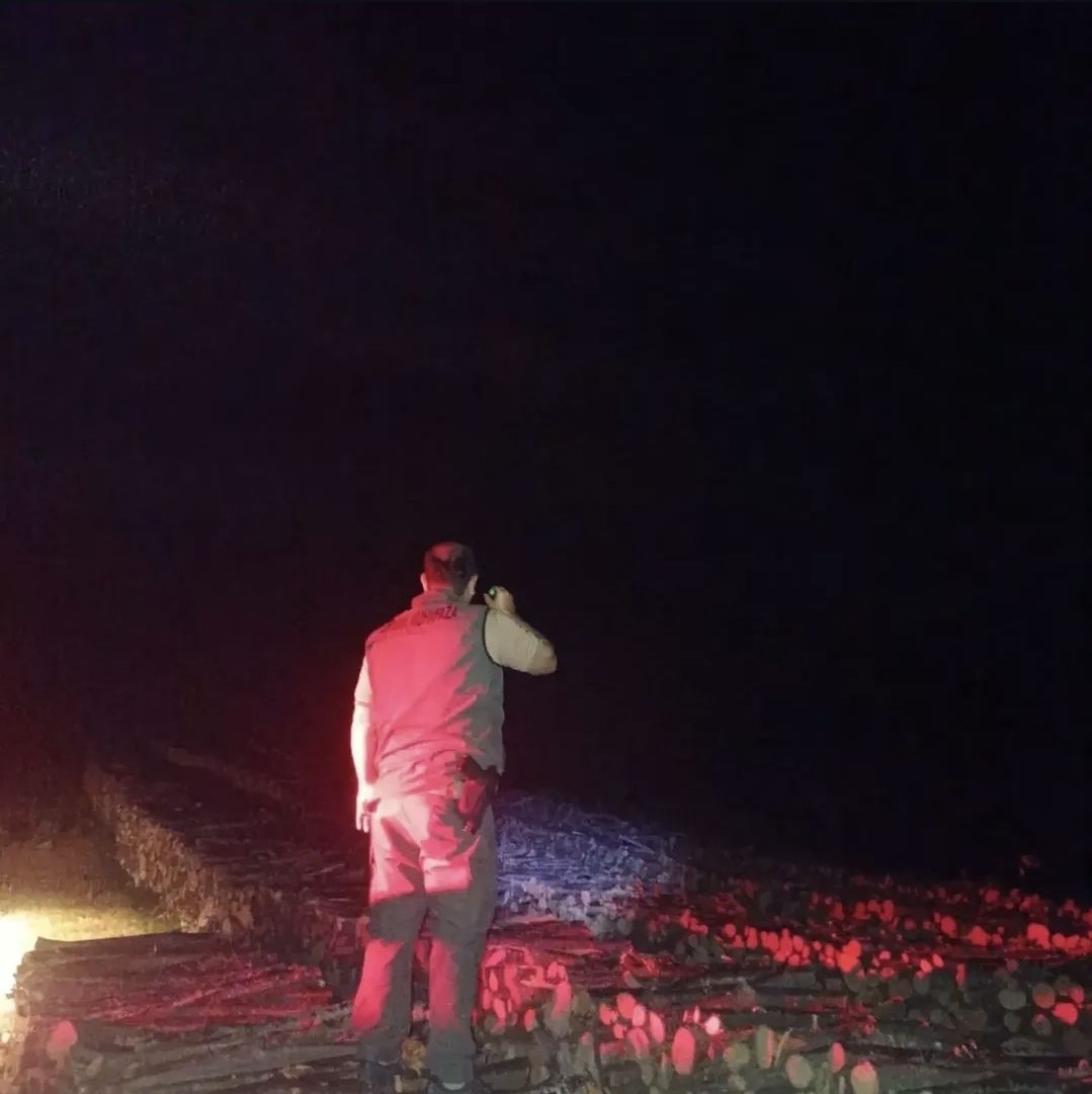 Geyve’de orman nöbeti: Ekipler gece boyunca sahada kaldı