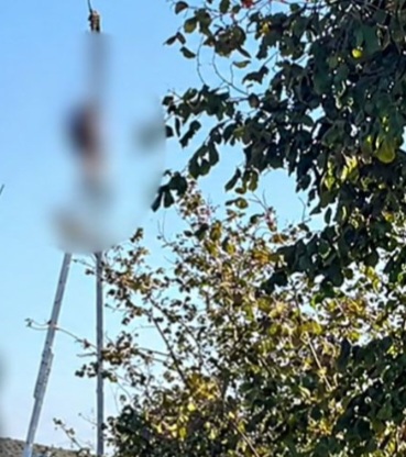 Kocaali’de elektrik direğinde feci ölüm