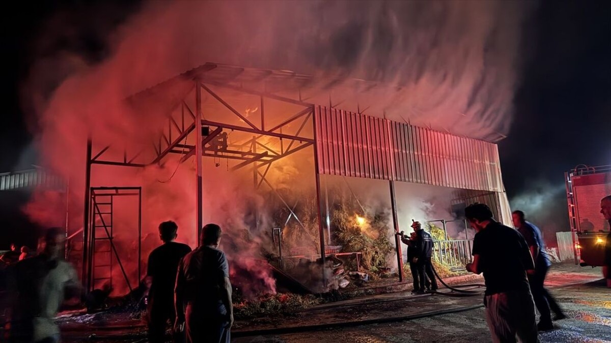 Adapazarı’nda korkutan samanlık yangını: 4 kişi dumandan etkilendi