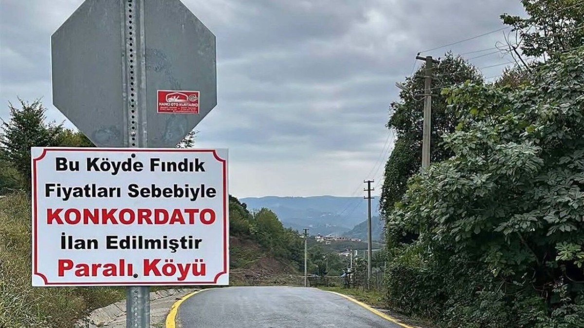 Fındık fiyatlarına ironik tepki: Paralı Köyü “konkordato” ilan etti
